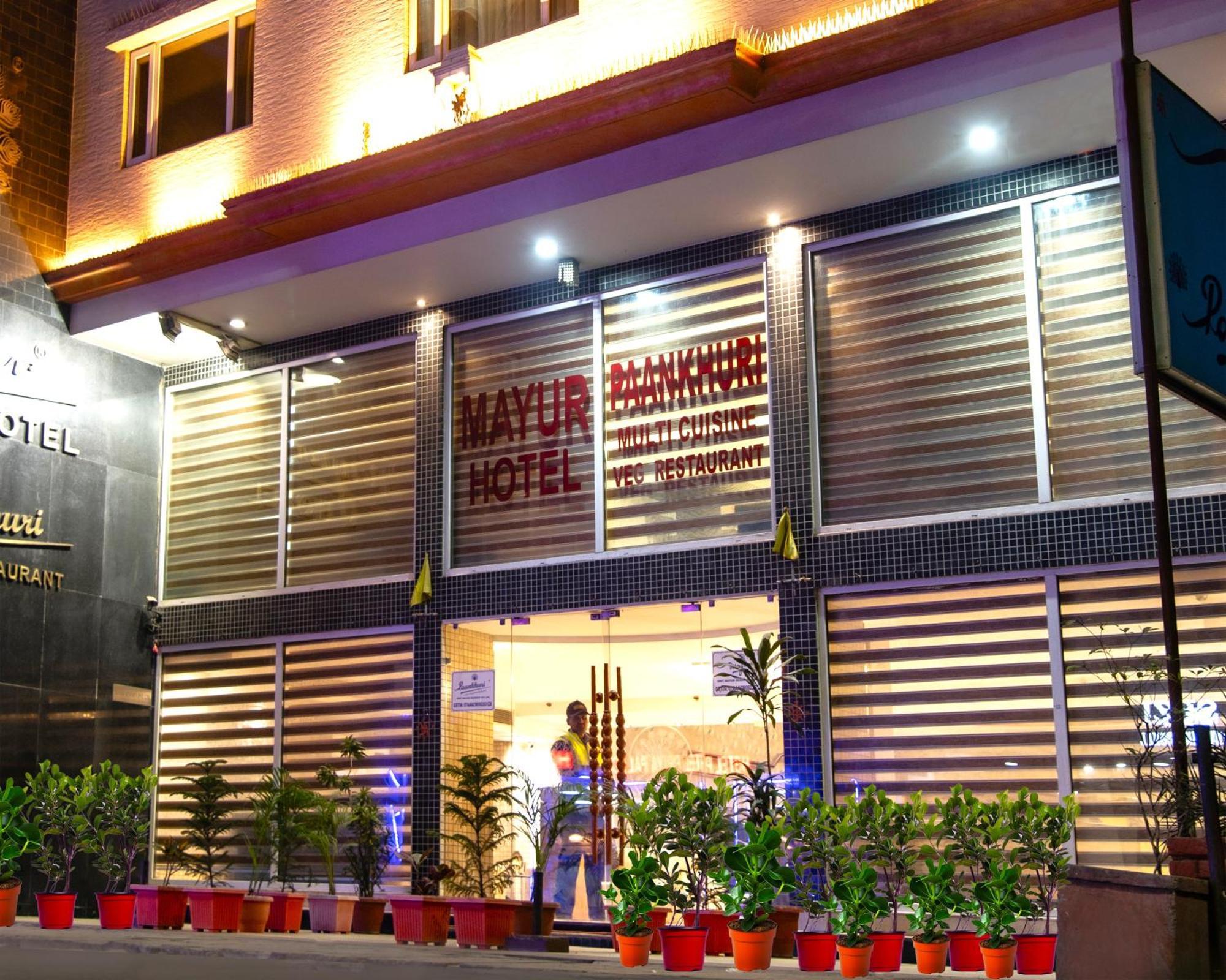 Mayur Hotel Нью-Дели Экстерьер фото